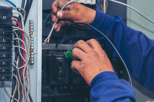 Best Electrician for Home Renovation  in Delmont, PA